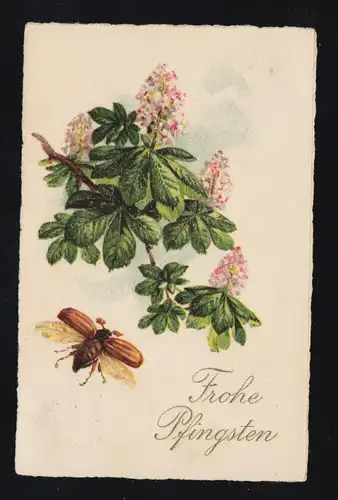 Tiere-AK Pfingsten Fliegender Maikäfer mit blühender Kastanie, LÜBECK 4.6.1927