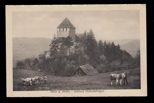 AK Stein am Rhein - Château Hohenklingen, travail de terrain Bâton de bœuf, non utilisé