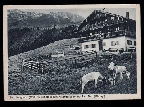 AK Blomberghaus, groupe de murs de Bendikten et bovins / vaches chez BAD TÖLZ 22.8.1942