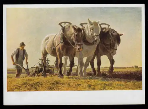 Animaux AK Junghanns: charrue - travaux de terrain avec des chevaux, non utilisés