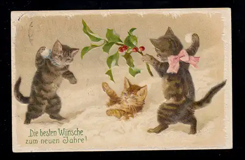 Tiere-AK Neujahr: Schneeballschlacht von Katzen-Kindern, CREFELD 31.12.1912