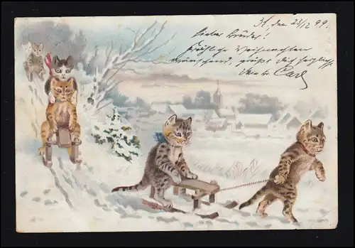 AK Animaux Menus: Chats en hiver Randonnée en traîneau Rodeln CÖLN 23.12.1899