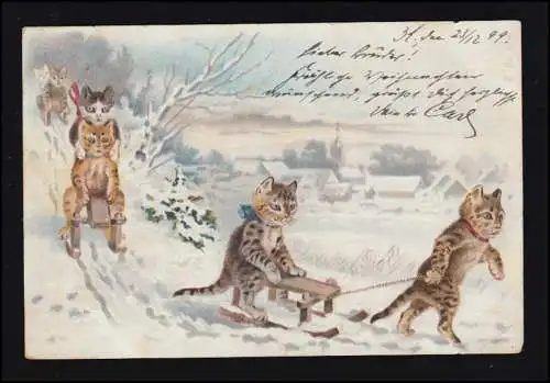 AK Vermenschlichte Tiere: Katzen im Winter Schlittenfahrt Rodeln CÖLN 23.12.1899