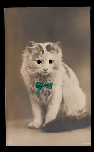 Tiere-AK Katzenbild mit grüner Schleife - Augen aus Glasperlen, beschriftet
