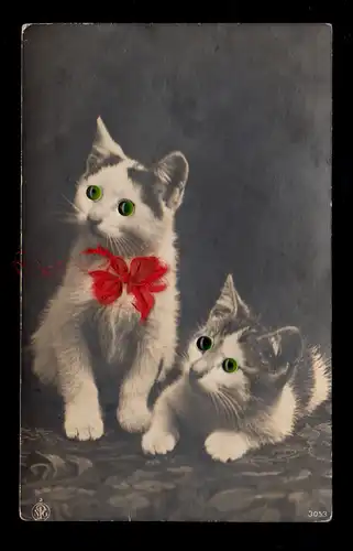 Tiere-AK Zwei Katzenkinder - Augen aus Glasperlen, beschriftet