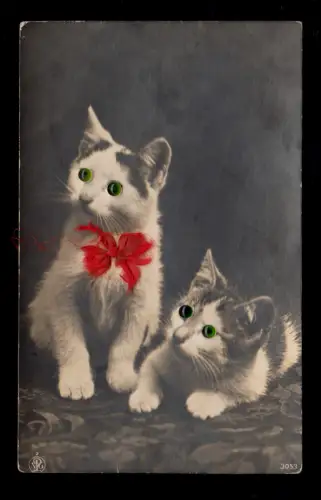 Tiere-AK Zwei Katzenkinder - Augen aus Glasperlen, beschriftet
