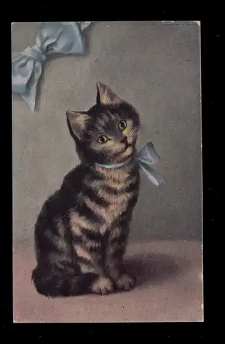 Tiere-AK Sitzende Katze mit blauer Schleife, ungebraucht