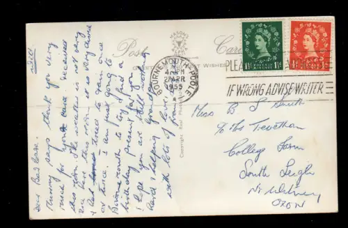 AK Photo Animaux Menu: Chat debout avec robe, Bournemouth Poole 1955