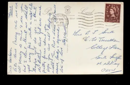 AK Photo Animaux Menu: Chats dans la poussette, Bournemouth Poole 28.4.55