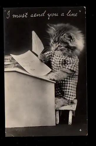 Foto-AK Vermenschlichte Tiere: Stehende Katze beim Briefeschreiben, 1955