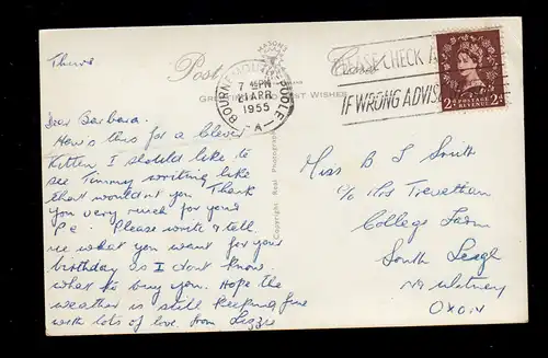 Photo AK Animaux Menus: Chat debout à la lettre, 1955