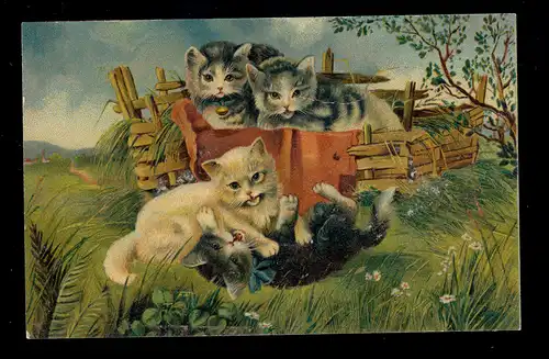Tiere-AK Spielende Katzen auf der Wiese mit Korb, ungebraucht