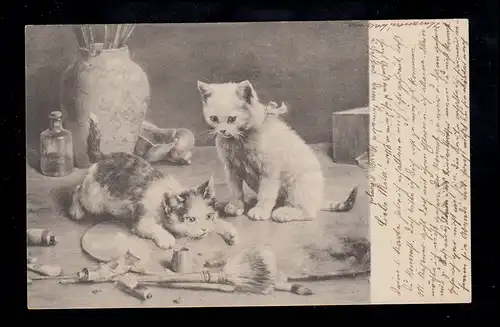 Tiere-AK Spielende Katzen mit Pinsel und Farbentupen, ILMENAU 5.12.1905