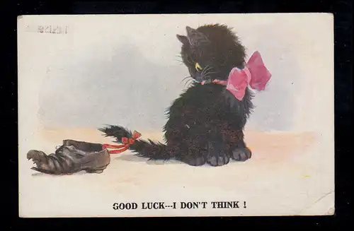 England Tiere-AK Humor: Schwarze Katze mit angebundenem Schuh, gelaufen um 1920