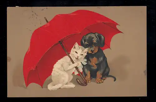 Animaux-AK Chien et chat sous parapluie rouge, CÖLN 2.8.1913