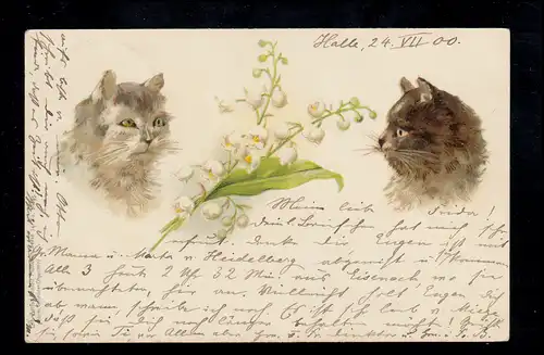 Animaux-AK Deux chats entre le branchement de Maigloeck, BALLENSTEDT 24.7.1900