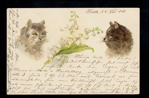 Tiere-AK Zwei Katzen zwischen Maiglöckchenzweig, BALLENSTEDT 24.7.1900