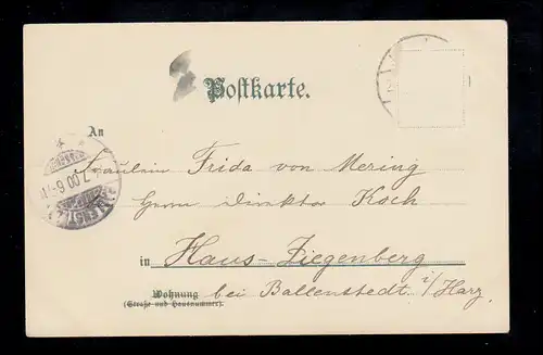 Tiere-AK Zwei Katzen zwischen Maiglöckchenzweig, BALLENSTEDT 24.7.1900