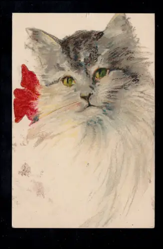 Tiere-AK Katzenportait, NÜRNBERG 5.12.1910