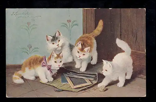 Animaux-AK Les chats curieux étudient les courses scolaires, HANNOVER 27.11.1905