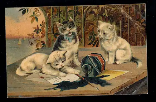 Tiere-AK Drei Katzen-Kinder und das umgefallene Tintenfass, ungebraucht