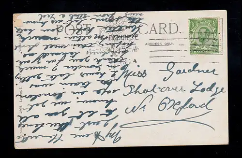 Angleterre Animaux-AK potted milieckf - Enfants chats dans un vase, LONDON 28.5.12