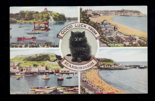England AK Scarborough: Schwarze Katze und vier Landschaften, 29.7.1953