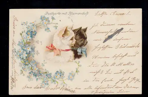 Postkarte mit Blumenduft Tiere-AK Weiße Katze und Schwarzer Kater, TITTLING 1902