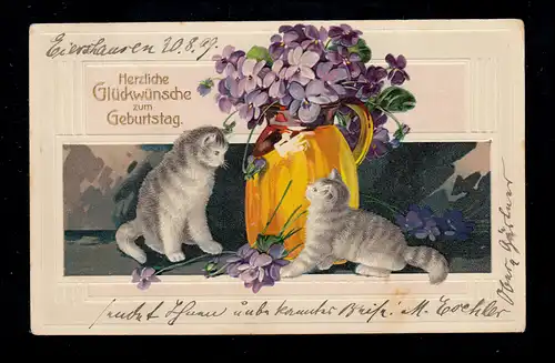 AK animaux anniversaire: chats et fleurs, BIEELHAUSES 20.9.1909