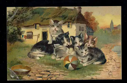 Animaux-AK Chats-enfants: Fatigué après le jeu de balle, inutilisé