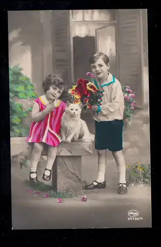 Animaux-AK Chat blanc avec enfants et roses, édition AMAG, non utilisé