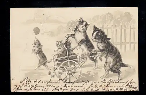 AK Animaux Menus: chats avec poussette, courrier ferroviaire vers BAD TÖLZ 12.8.02