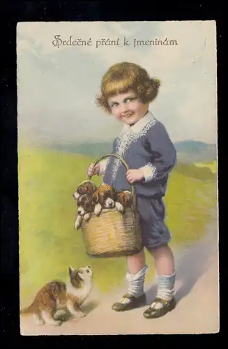 Tiere-AK Junge mit Hundewelpen und staunender Katze, gelaufen