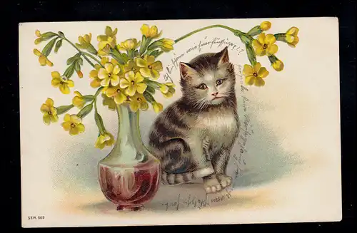 Chat animal-AK avec vase fleuri, M.GLADBACH 21.10.1908
