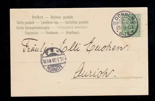 Animaux-AK Chats devant la bouche vide Mousefall Vogel Dornum (FRAISIE-EST) 1903