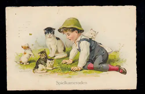 Animaux-AK Chats jouant avec des garçons dans la prairie, BRUNSCHWEIG 12.8.1926