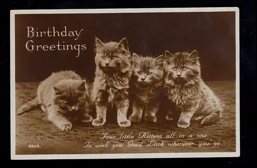 Angleterre Animaux-AK Anniversaire Les quatre chats-frères féliciter, inutilisé