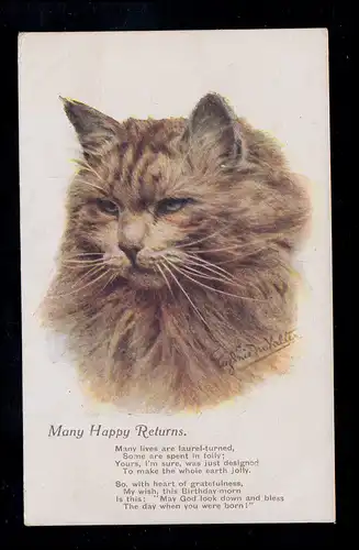 England Tiere-AK Katzenportrait, beschriftet