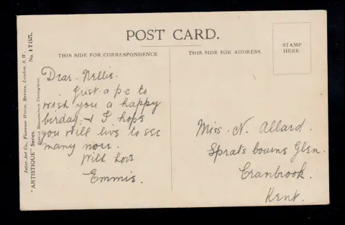 Angleterre Animaux-AK Portrait de chat, marqué