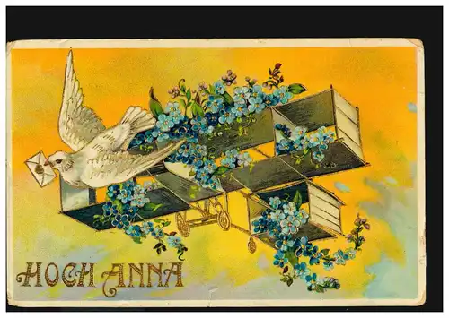 Ansichtskarte Vornamen: Hoch Anna! Flugzeug Veilchen Brieftaube, WIEN 1910