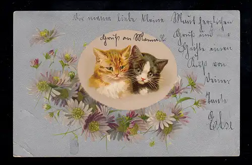Tiere-AK Katzen-Kinder im Oval mit Blumengirlande, gelaufen nach DIEHSA 9.11.03