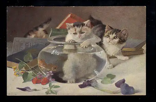Animaux AK Chat enfant dans le verre de poisson, marque Egèmes, BREGENZ 1909