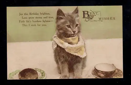 England Tiere-AK Geburtstag: Katzen-Kind mit Halstuch, beschriftet