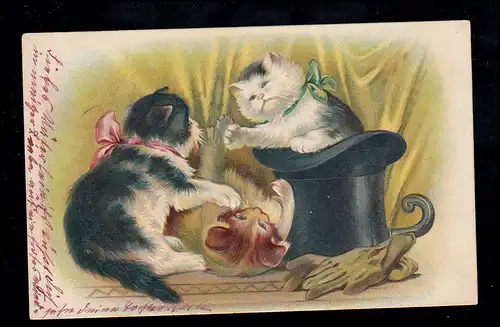 Animaux AK: Chats jouant avec cylindre, BUTTS BRUNS (ELBE) selon l'INSE 3.7.1906