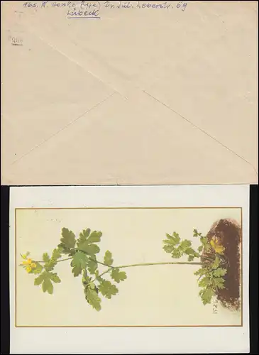 153-154 Jugend 1952 EF auf Postkarte DETMOLD 21.10.52 und Brief LÜBECK 8.12.52