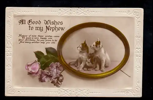 England Tiere-AK Geburtstag: Drei Katzen-Kinder, beschriftet