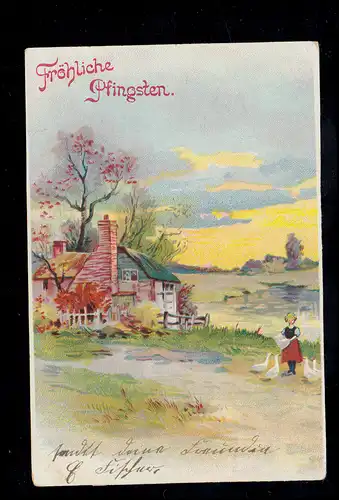 AK Pfingsten: Dorfidylle am See - Fütterung der Gänse, MOYS 10.6.1905