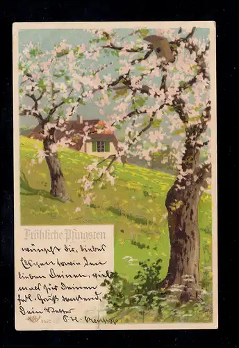 AK Pfingsten: Wiesenhang mit blühenden Bäumen, UETERSEN 29.5.1903