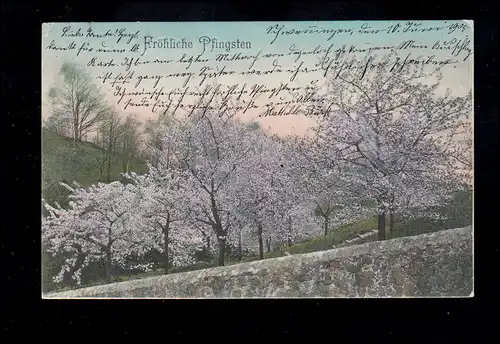 AK Pentecôte: Paysage avec arbres fleurissants, SWENNINGS 10.6.1905