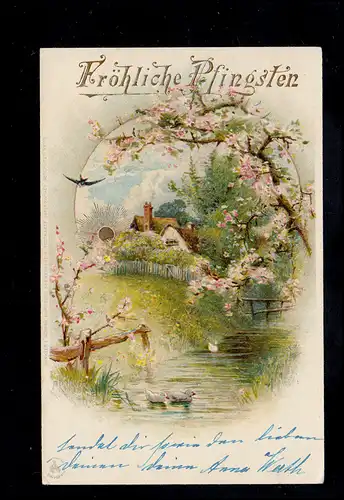 AK Pfingsten: Dorfidylle mit Fluss und Enten, ROSTOCK 2.6.1900 nach Berlin